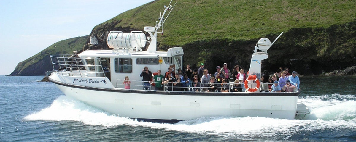 blasket island boat trip from dingle