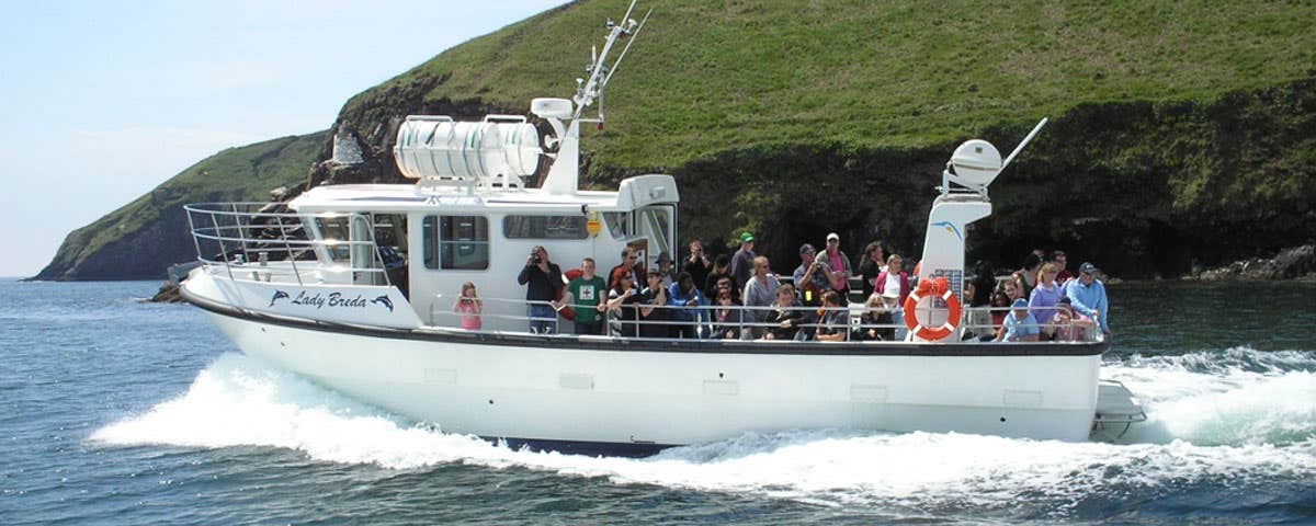dingle boat tours ireland