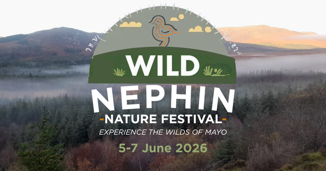 梅奥 Wild Nephin 自然节：三天家庭户外体验的活动图片