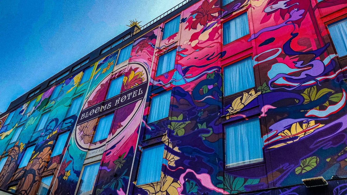 Aches' David Attenborough mural on Richmond Street, Dublin
