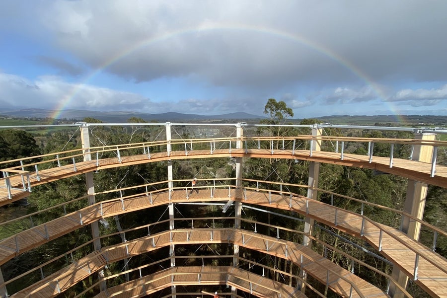 Visit Beyond the Trees Avondale with Discover Ireland