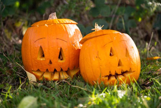 Pumpkin & Fun Family Halloween Festival, Meath