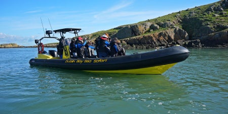 A group of people out on the water with Dublin Bay Sea Safaris