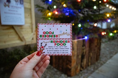 A Christmas to Remember at Newbridge House and Farm