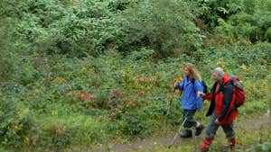 Visit Murroe Glenstal Woods Loop With Discover Ireland Visit Murroe Glenstal Woods Loop With Discover Ireland