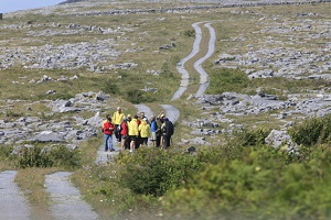 Burren Birds of Prey Centre: Discover Ireland's Majestic Raptors - Birds of  Prey US