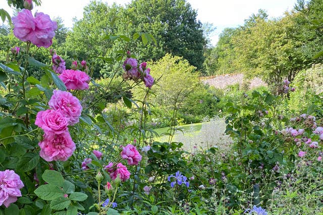 Salthill Garden