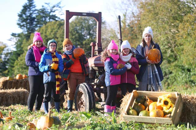 Tricks, Treats, Train Rides & Pumpkin Patch Fun at Wells House and Gardens, Wexford