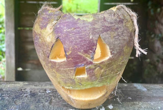Samhain at the Organic Centre, Leitrim