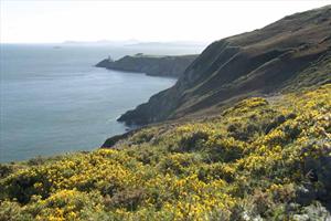 Howth Pathways Map Howth - Cliff Path Loop