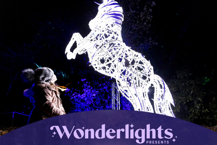 The Magic of Winter Wonderlights