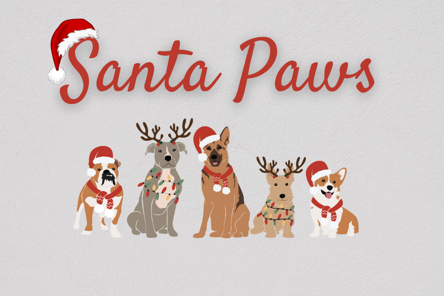 Get ready for wagging tails, floppy ears, and festive cheer because Santa Paws is back at Newbridge House and Farm
