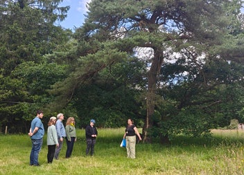 A small group of people and a guide standing by a tree