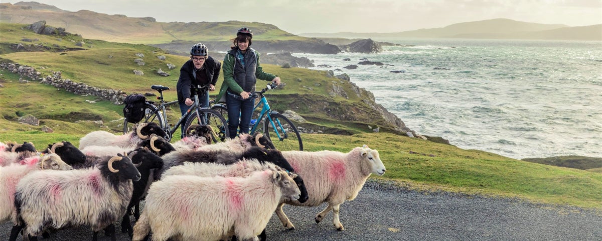 Two bikers meet sheep on a coastal road