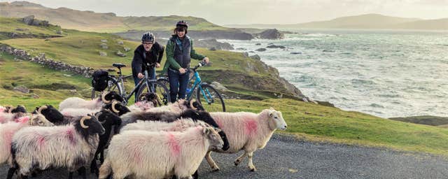 Ireland Wild Escapes