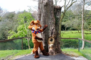 Stay with Trabolgan Holiday Village