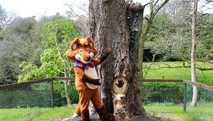 Stay with Trabolgan Holiday Village