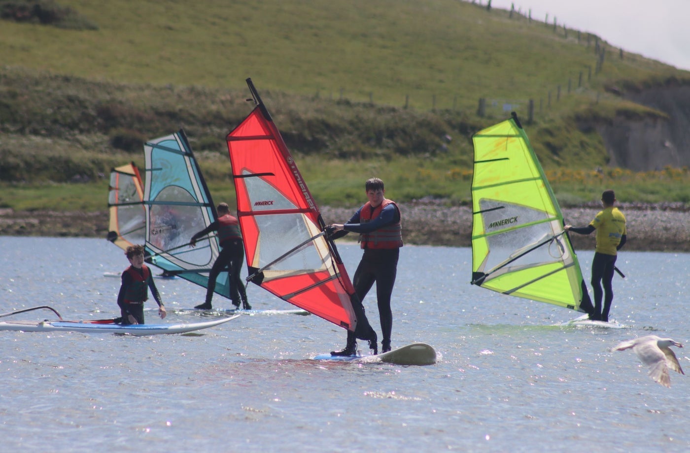 Four people windsurfing