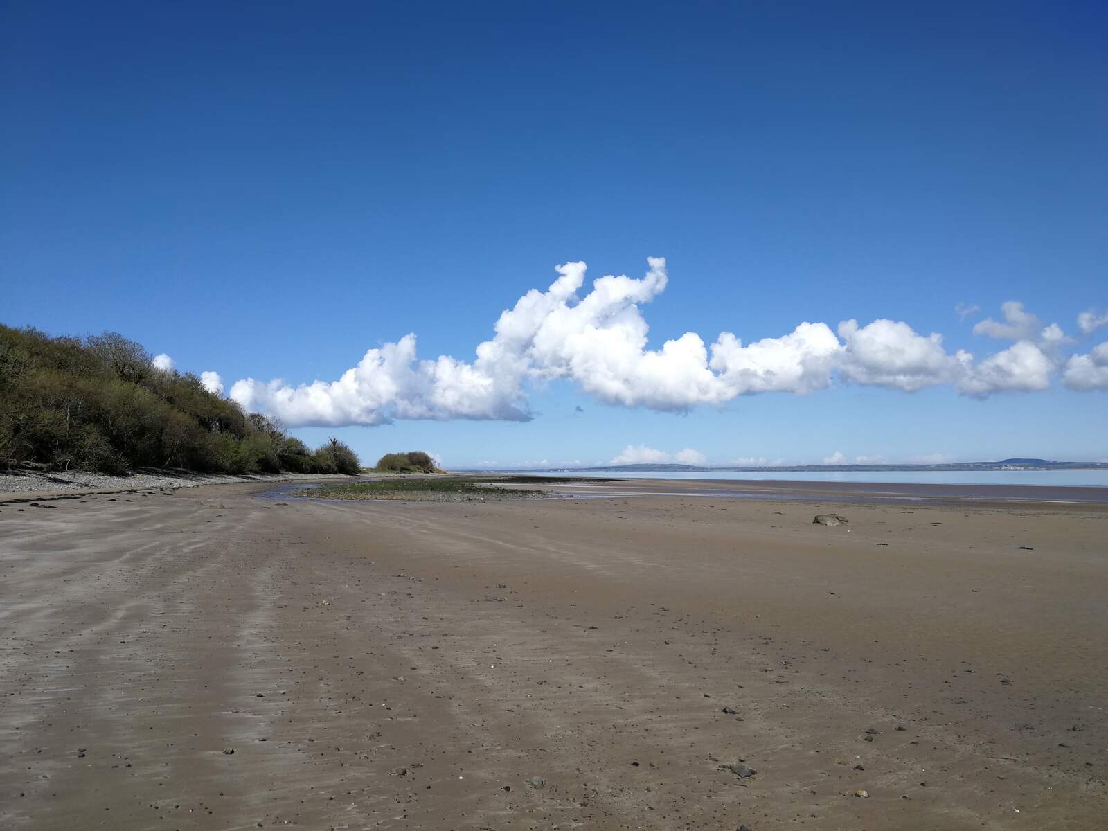 Sandy beach with green trees on one side and the sea on the other