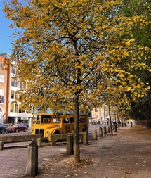 Vintage Tea Trips x Glasnevin Cemetery Halloween Tour
