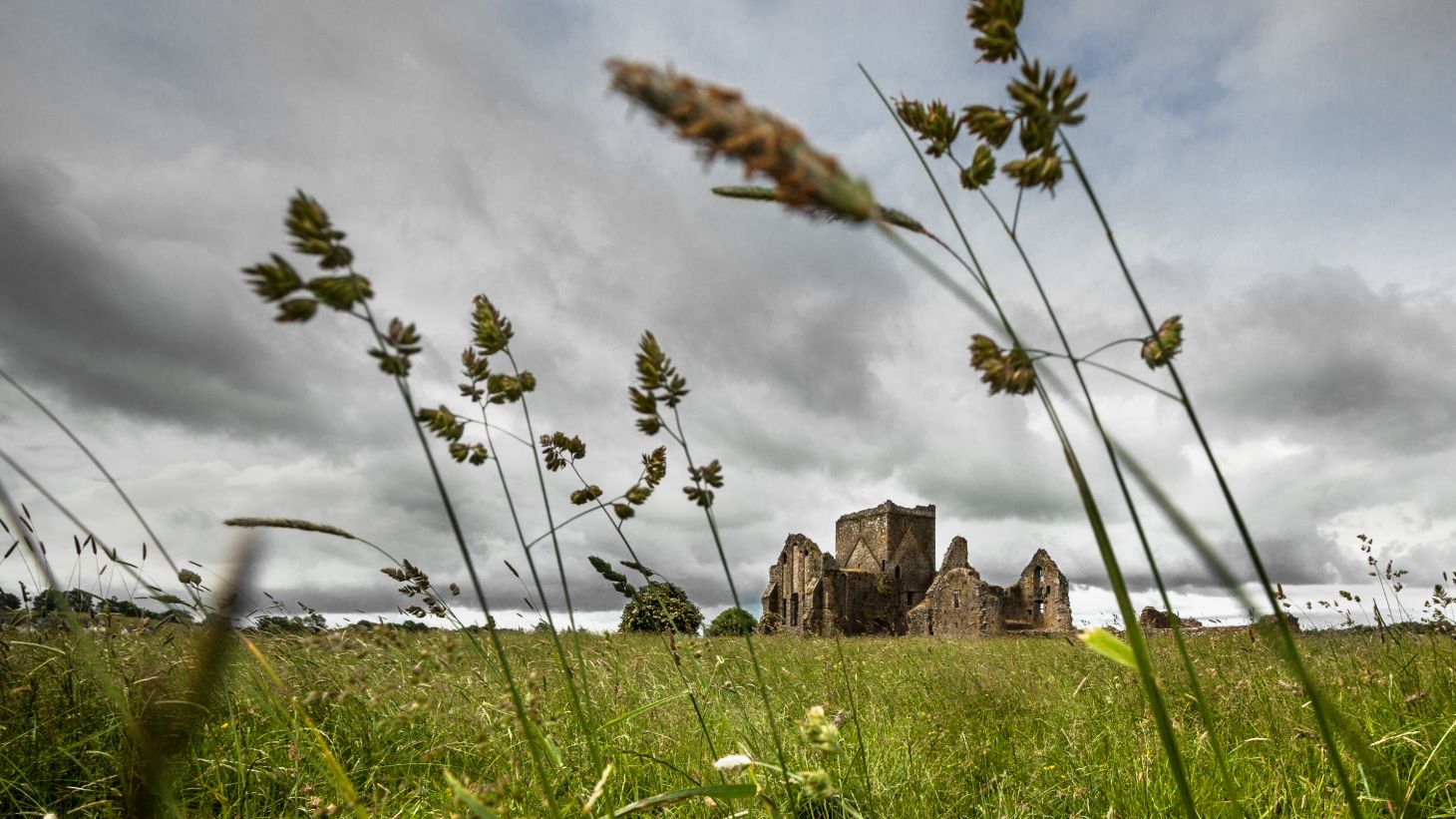 Green fields in front of Hore Abbey, Tipperary