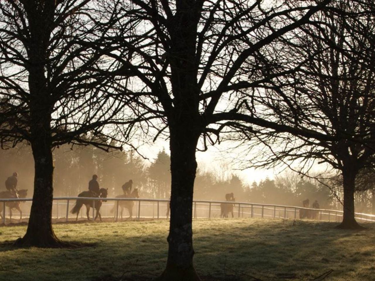 Horses and riders on a track on a misty afternoon