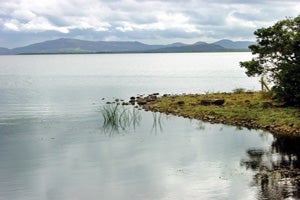 Marjorie's Cookery School & Guest Accommodation