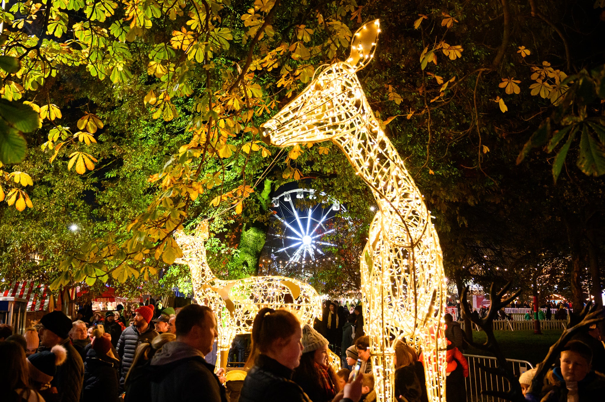 Image of Christmas events to fill your festive calendar