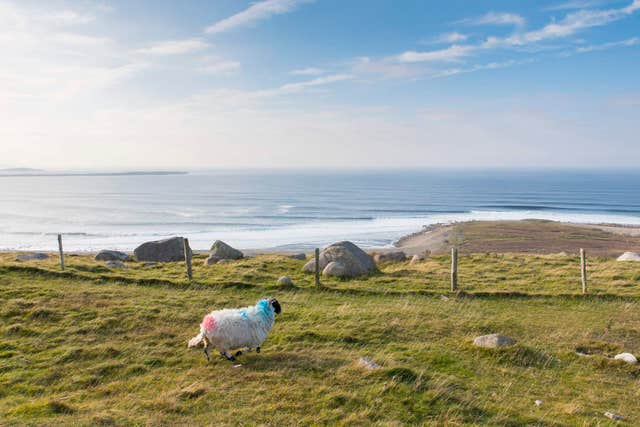 Cnoc Fola
