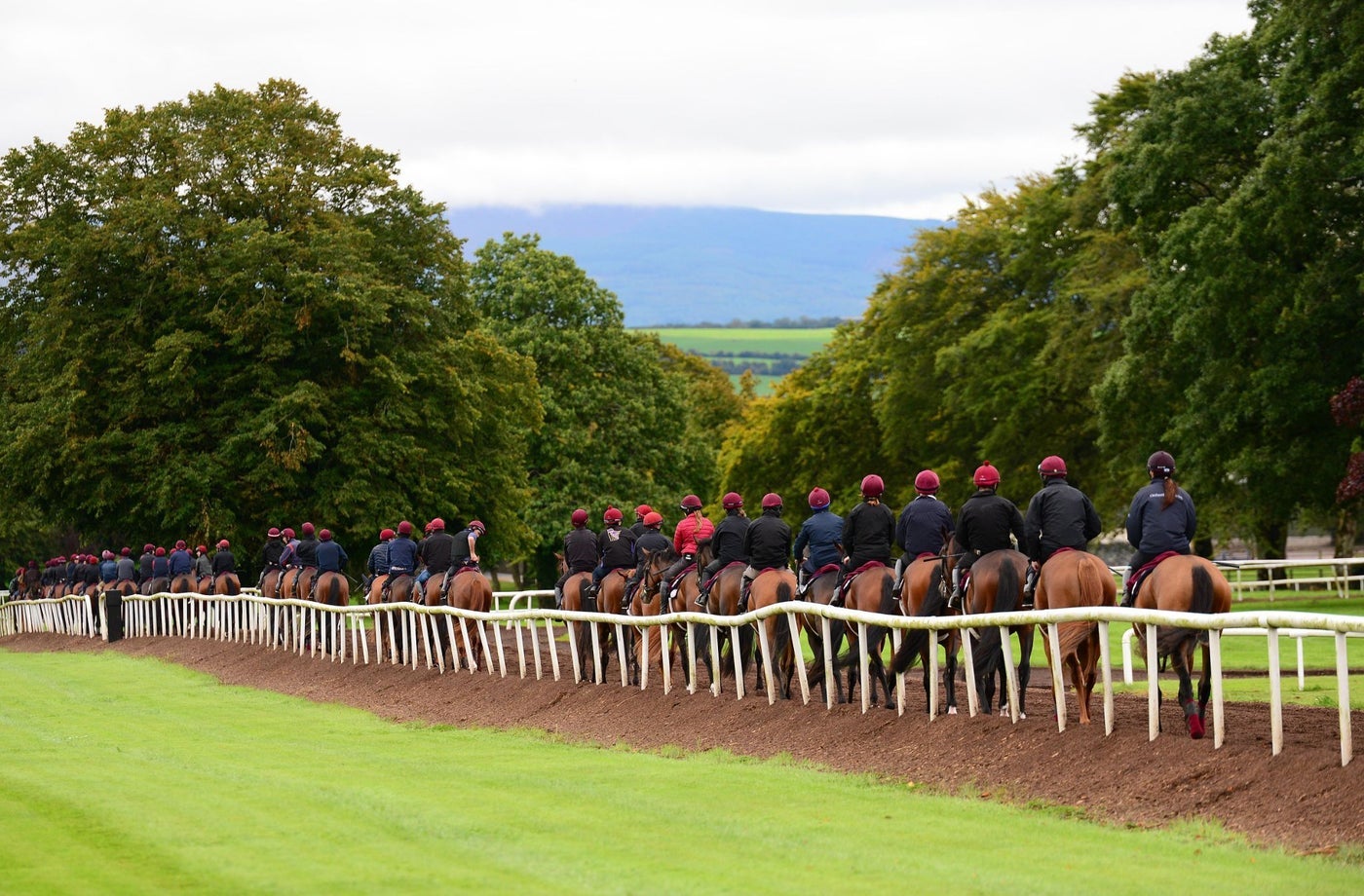 A line of horses and their jockeys make their way along a fenced racing track