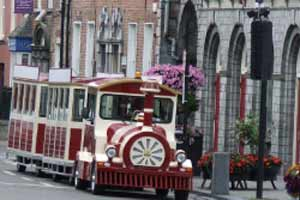 Kilkenny Road Train Tours