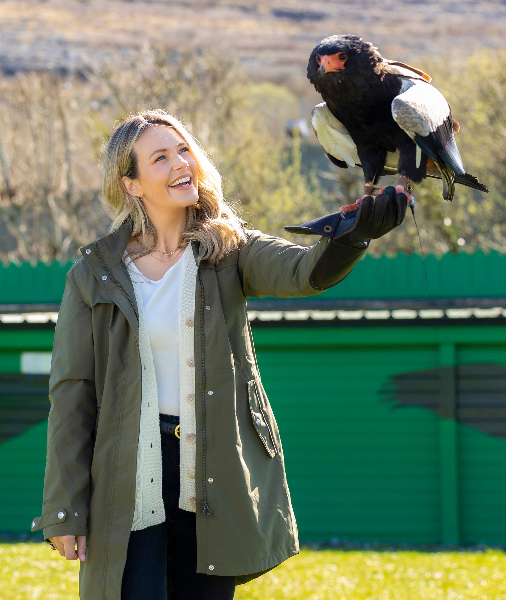 Burren Birds of Prey Centre Galway