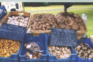 Mespil Road Farmers Market