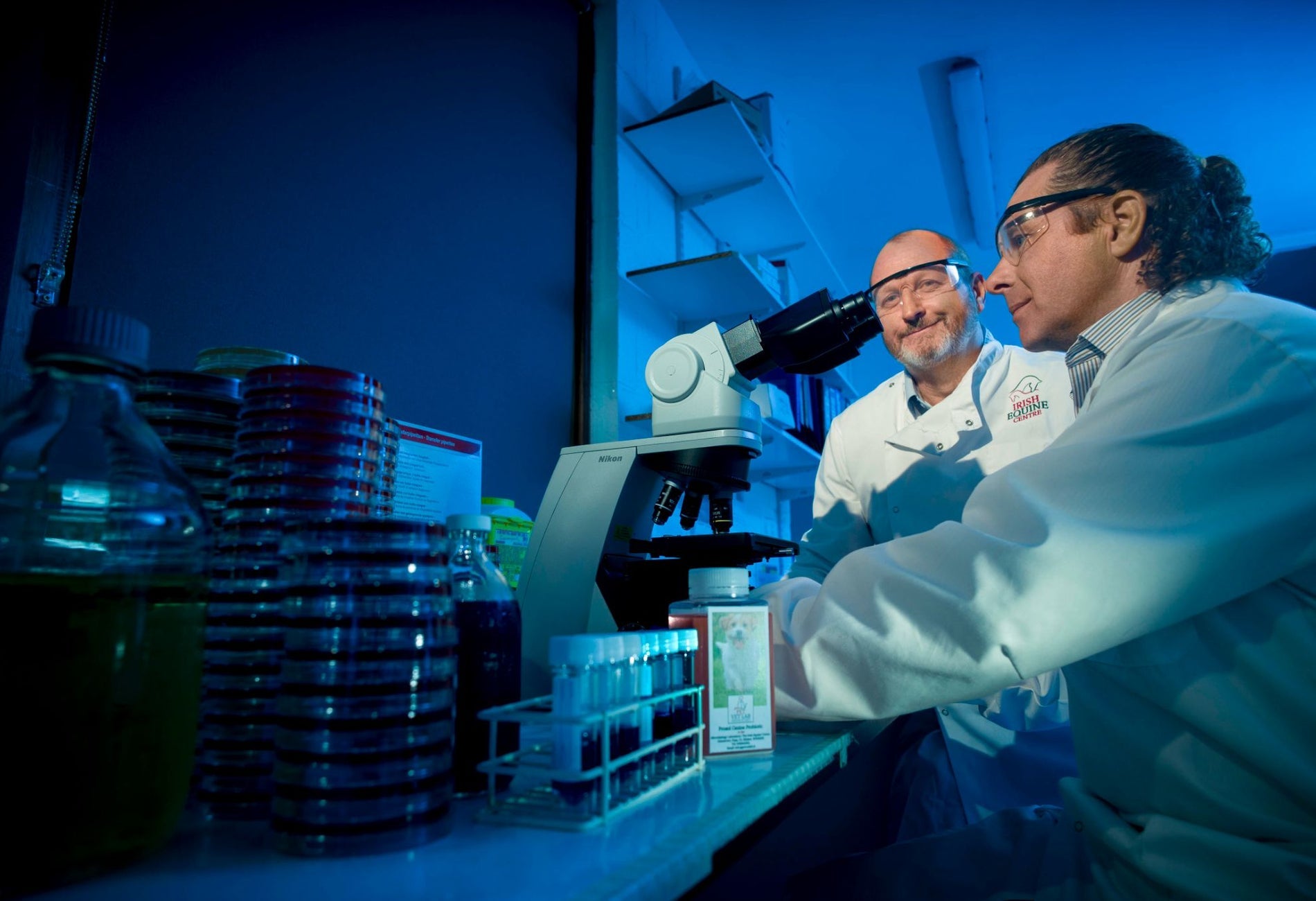 Scientists using a microscope and laboratory equipment to study samples related to horse health