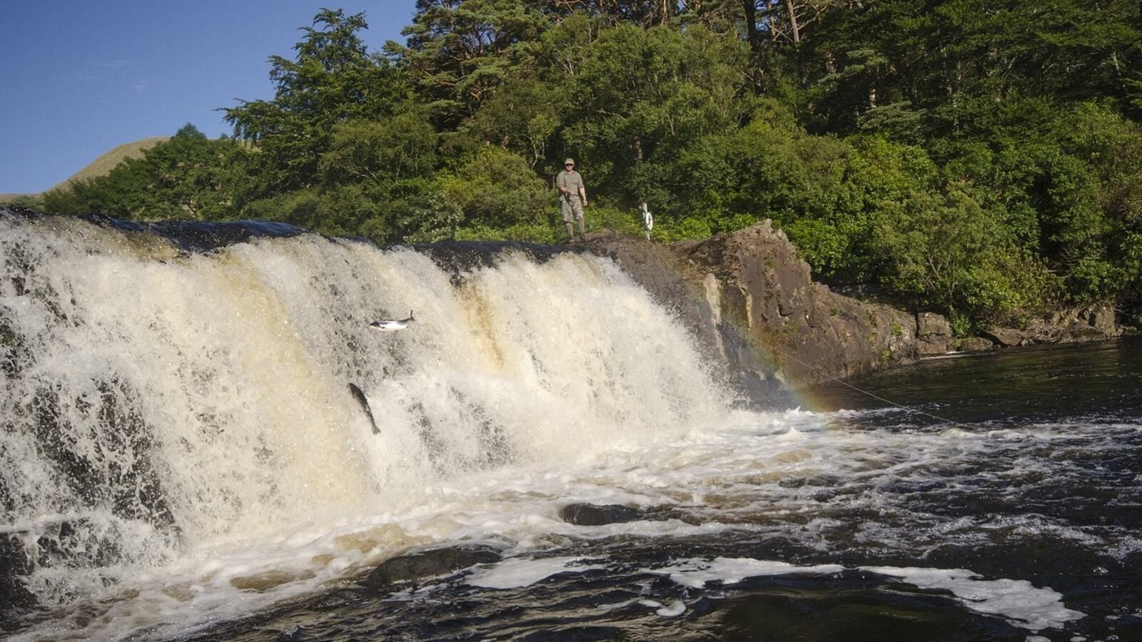Falls at a river with salmon leaping up the falls as fishermen watch