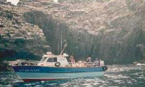 Casey's Skellig Boat Trips