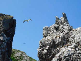Two seabirds fly in a blue sky above two rocky outcrops