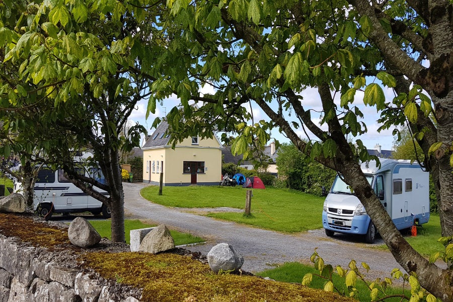 Mature trees in camping park