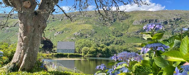 About Ireland Taxi Tours