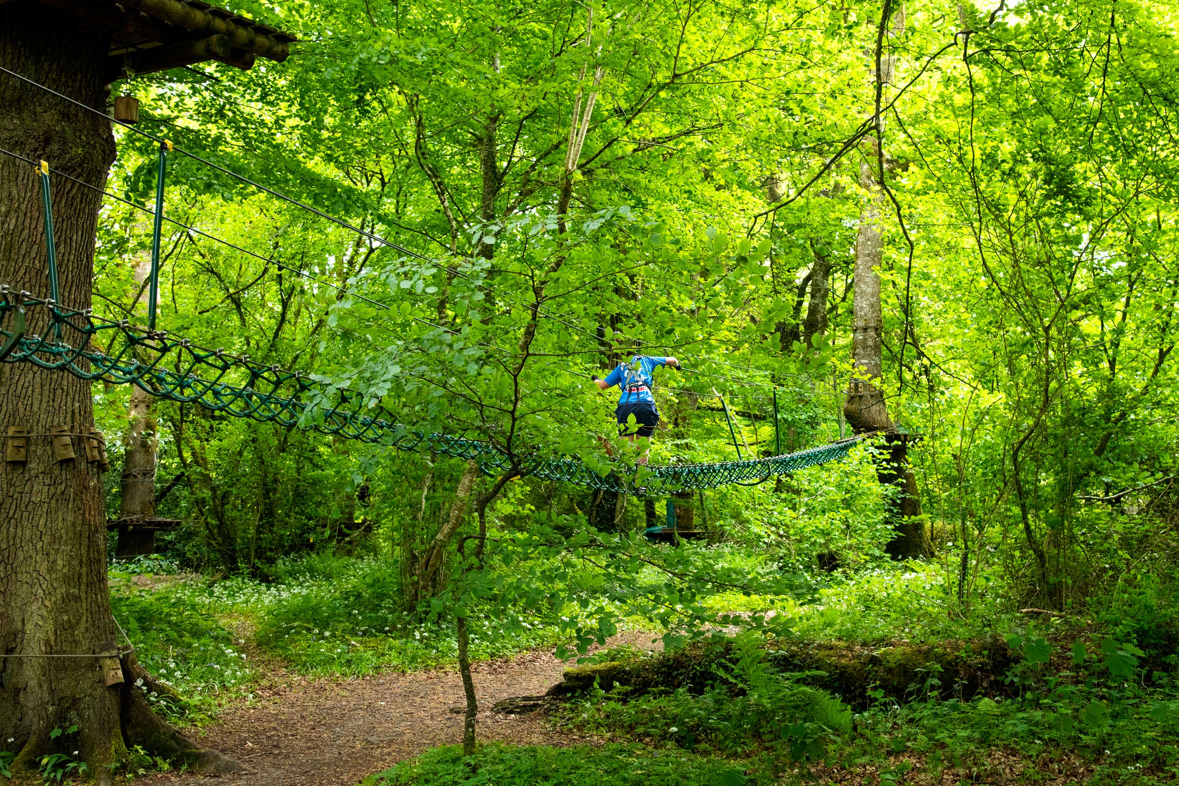 Visit Lough Key Forest and Activity Park with Discover Ireland