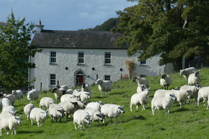 Lough Bishop House