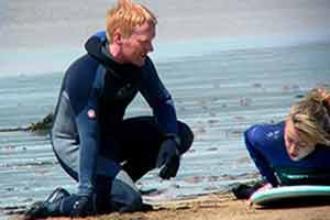 Ocean Scene Surf School