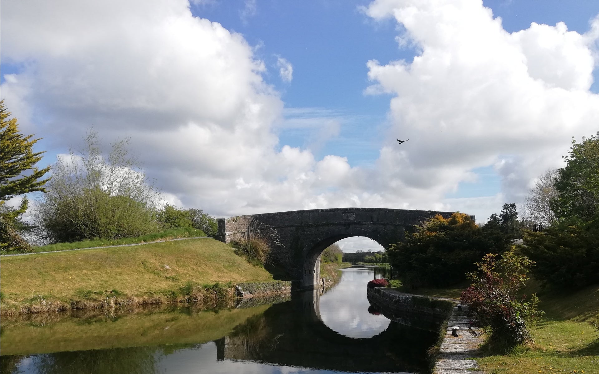 A single arch canal bridge along the Royal Canal Greenway