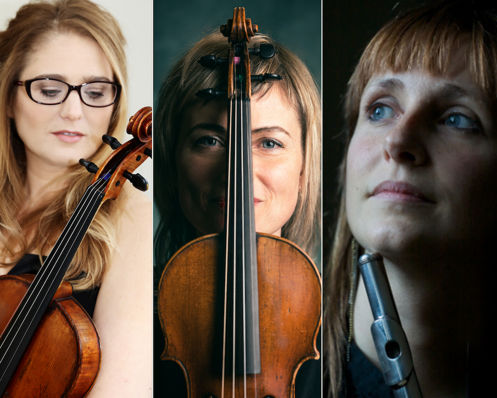 Musici Ireland in Kilkenny Castle on 25 January