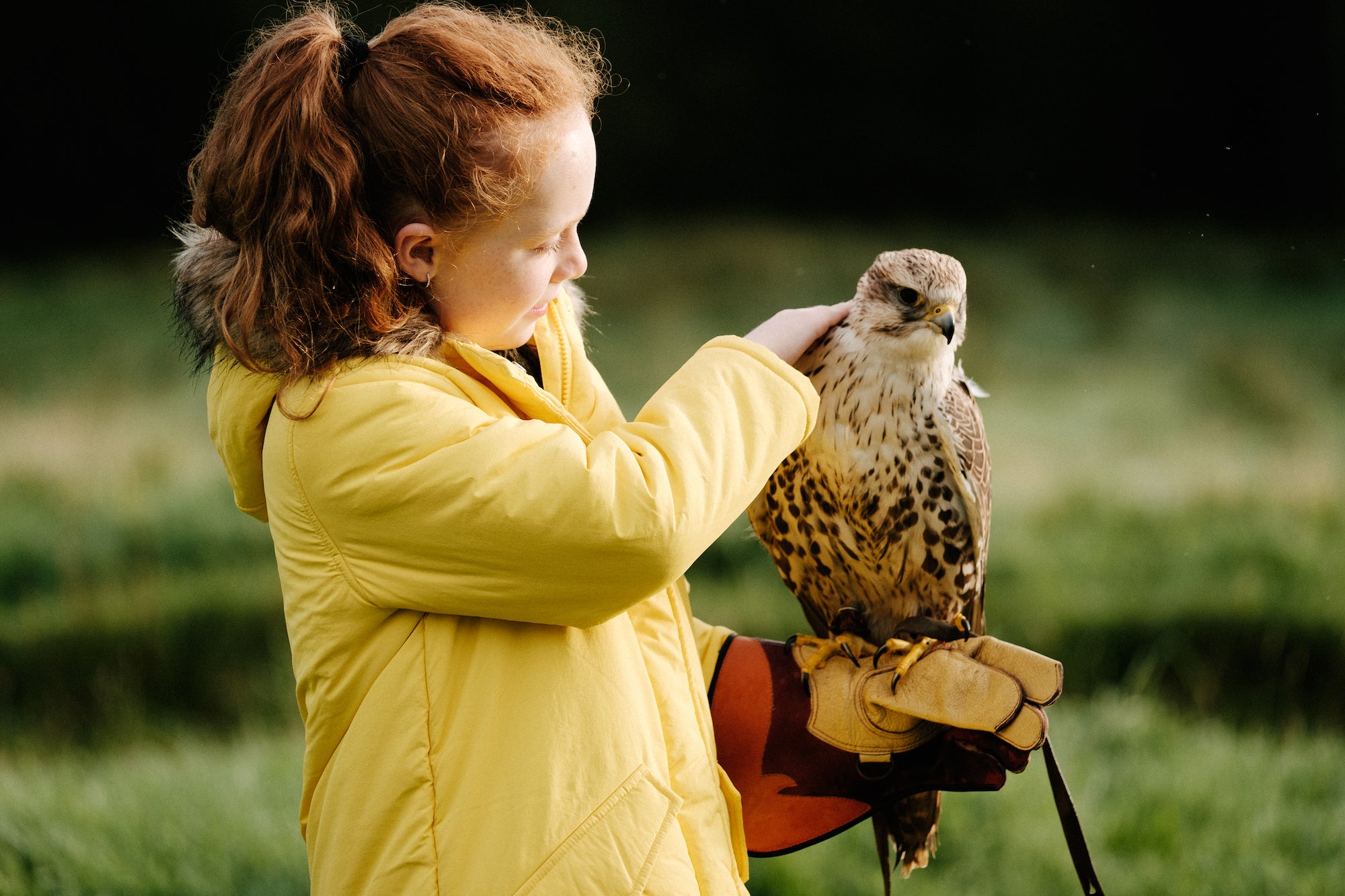 12 Things to Do in Sligo on Your Next Holiday with Discover Ireland