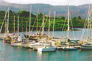 Lawrence Cove Marina