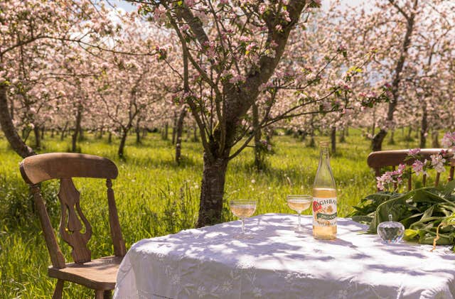 Highbank Organic Orchards