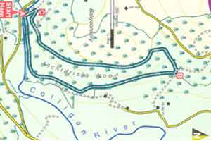 Inchidrisla Loop walk image