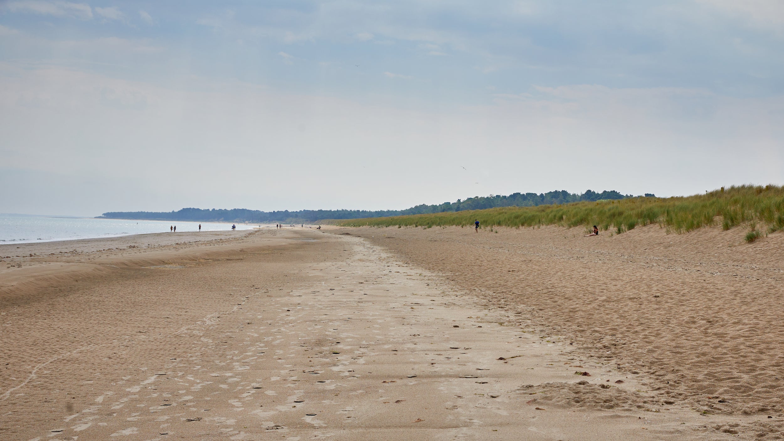 Curracloe Beach in County Wexford
