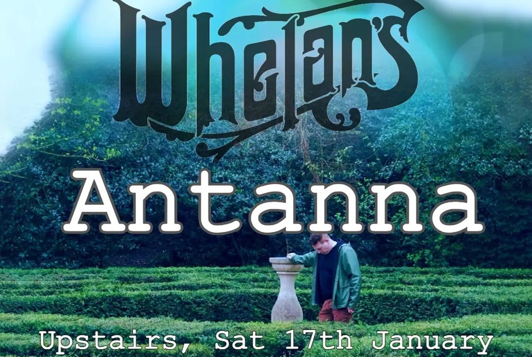 A man resting arm on tall garden stone ornament standing in a hedge garden